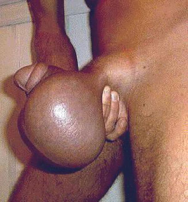 Weird Xxx