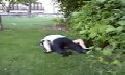 That`s the maid of honor->