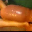 Massaging a WTF monstercock
