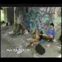 Homeless orgy